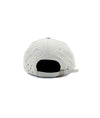 Pop Flexfoam Sixpanel Hat Silver