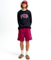 Pop Arch Knitted Crewneck Anthracite/Raspberry